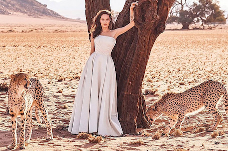 Хищная красота: Анджелина Джоли в дерзком платье томно позирует с гепардами! Фото