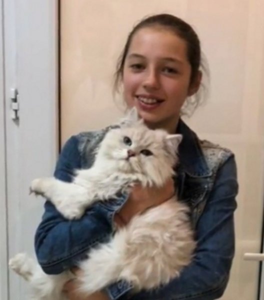 «Ничего святого!»: Волочкова решила заработать денег на болезни кота