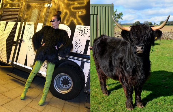 Черная шерсть и зеленые «копыта»: Топурия рассмешила новым сценическим образом «коровы»