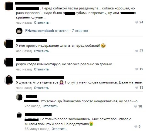 «Недержание шпагата перед собакой!» - Фанаты обвинили Волочкову в неадекватности