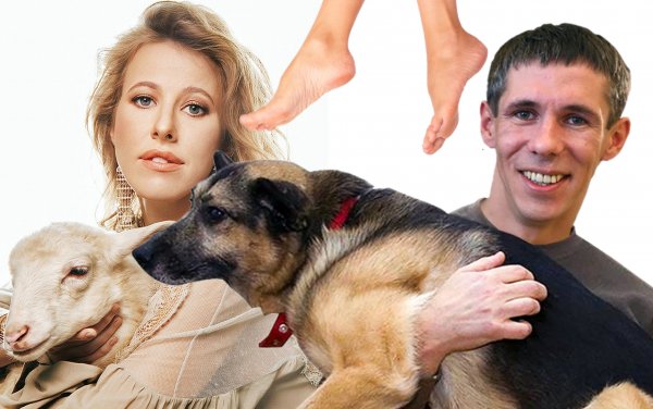 С лица Богомолова на ногу Панина: Собчак прорекламировала новые похождения собачьего любовника