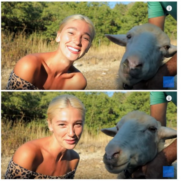 «Это моя овца Регина!» - Ивлеева публично оскорбила Тодоренко в шоу «Орел и Решка»