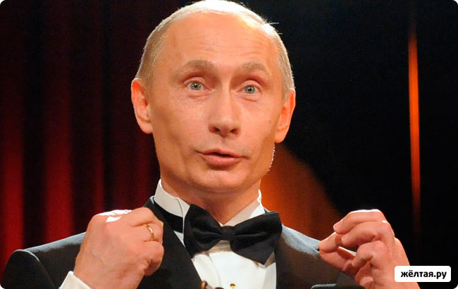 "Наш дурдом голосует за Путина" хотят отправить на Евровидение