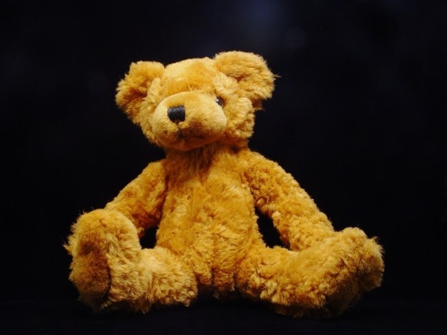 Лицеисты из Курска подарили Нургалиеву игрушечного медведя